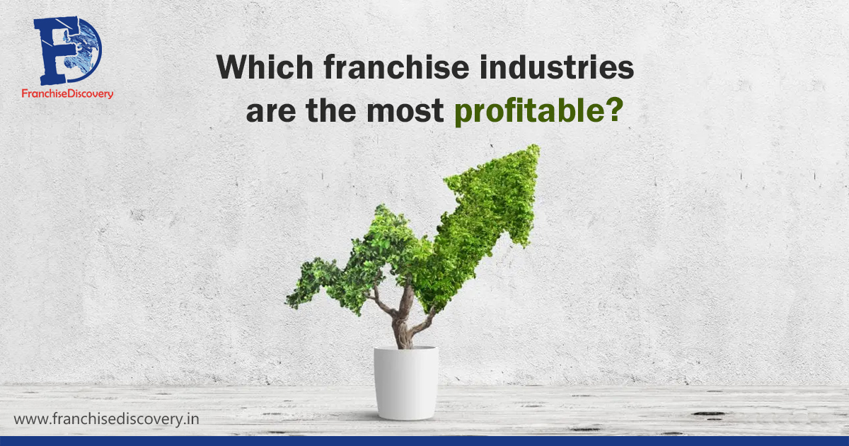 Which franchise industries are the most profitable?